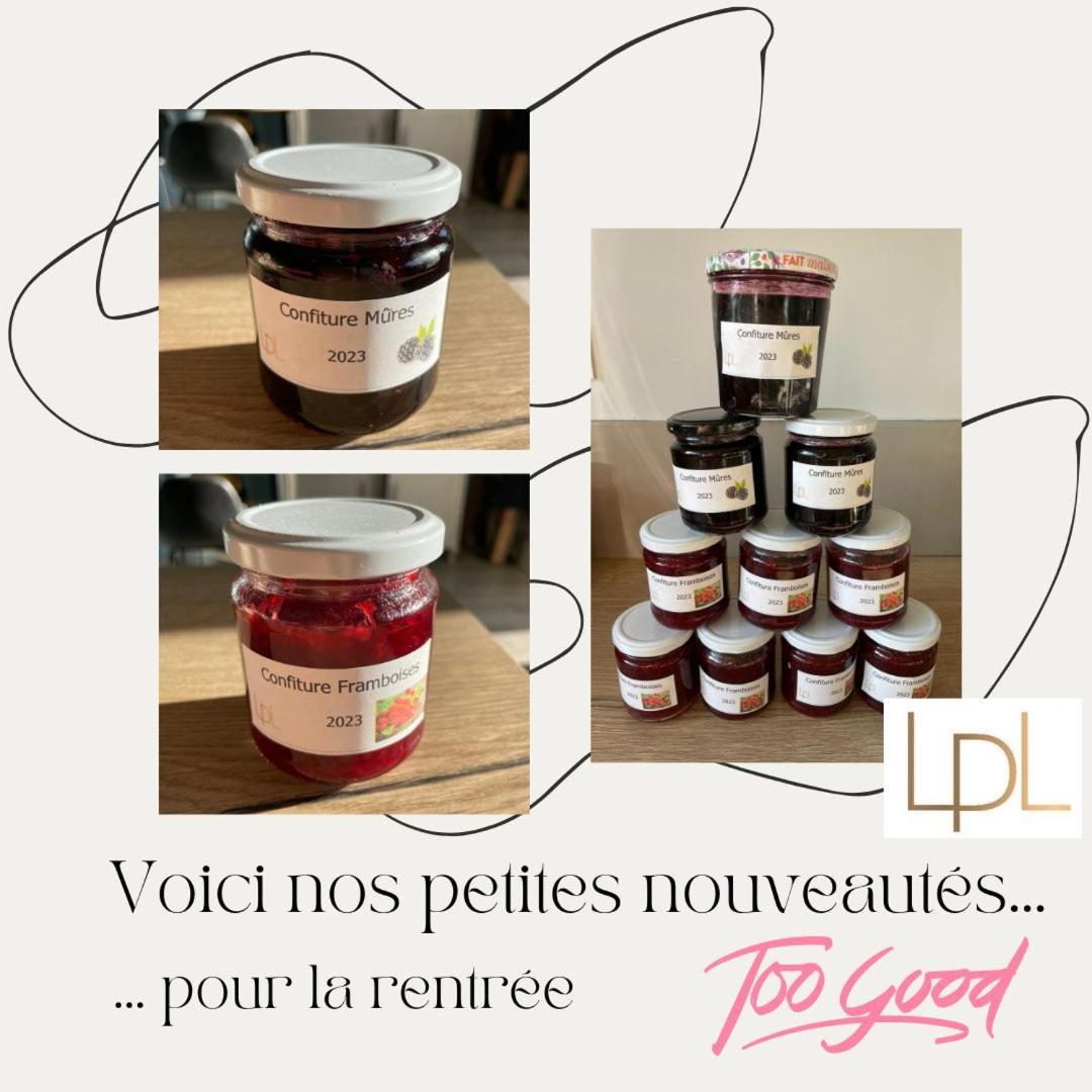 Logis De Pierre Levee Bed and Breakfast Bessines Εξωτερικό φωτογραφία
